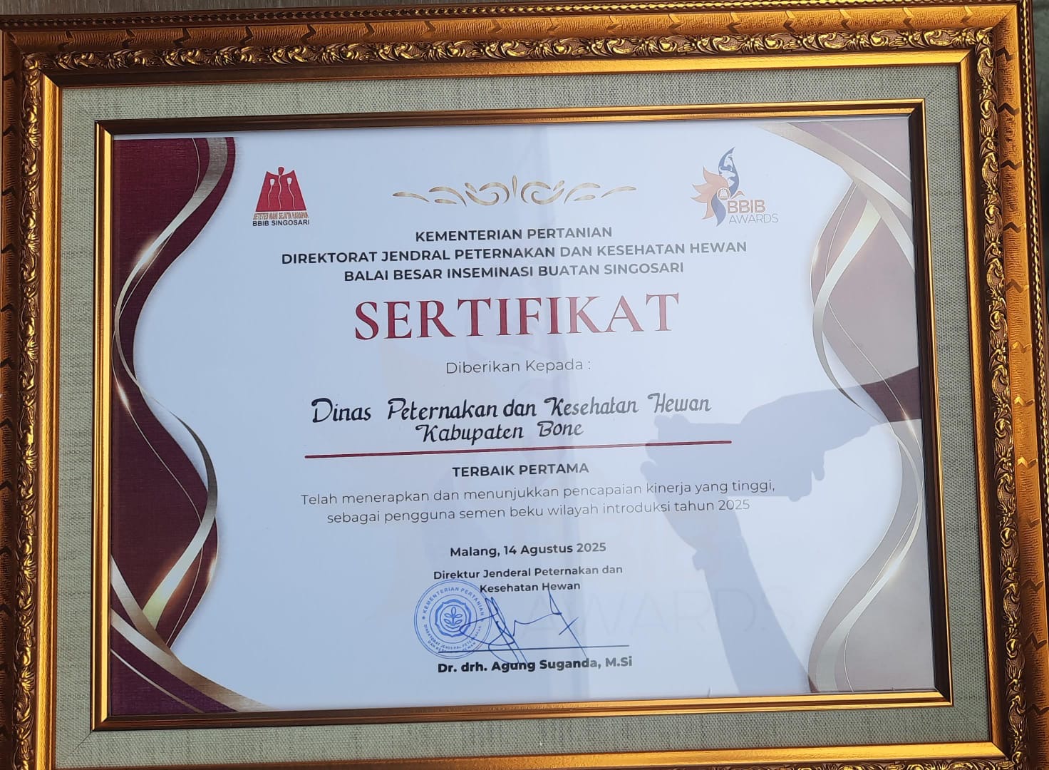 Bone Terbaik Pertama BBIB Award 2025, Dinas Peternakan Bone Tertinggi Capaian Inseminasi Buatan 1