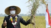 Diproyeksikan-Swasembada-Beras-Jabar-Tingkatkan-Produktivitas-696x462