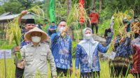 IMG-20211119-WA0012
