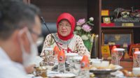 IMG-20220203-WA0036